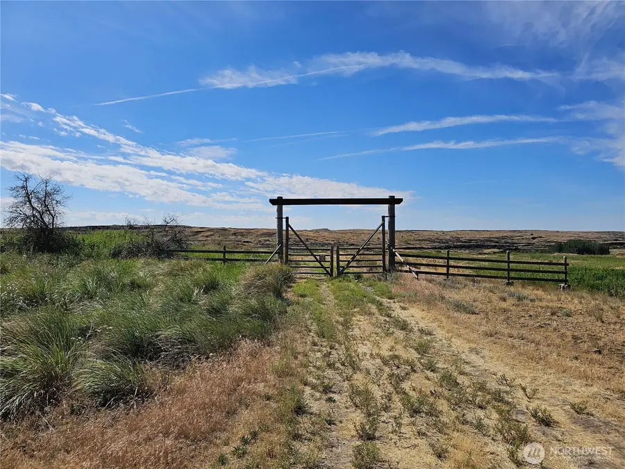 24414 Seven Springs Dairy Road E, Harrington, WA 99134 - #2