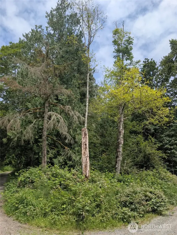 25314 Ebey Mountain Road, Arlington, WA 98223
