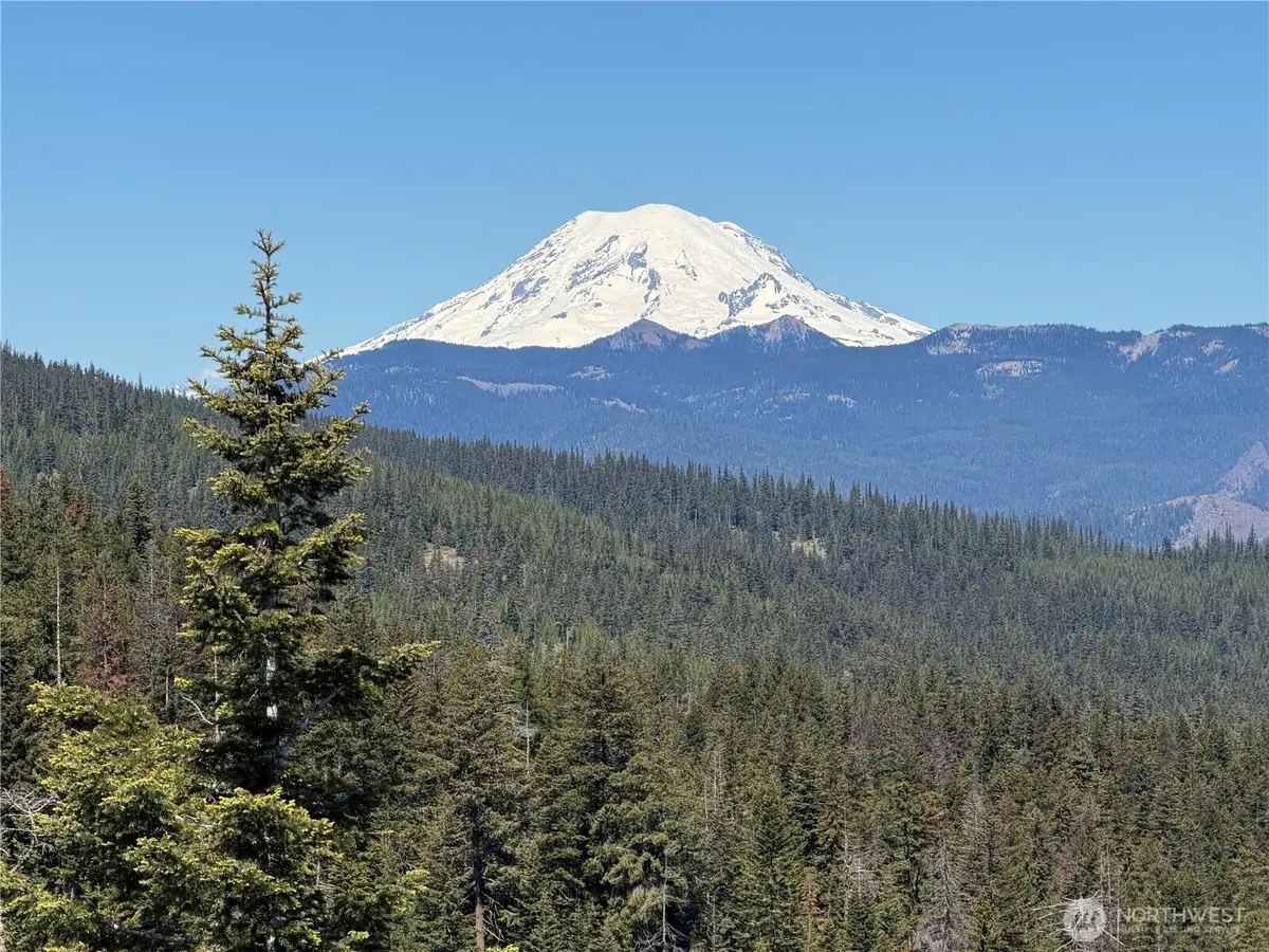 1524 Nasty Creek Road, Yakima, WA 98903 - #1