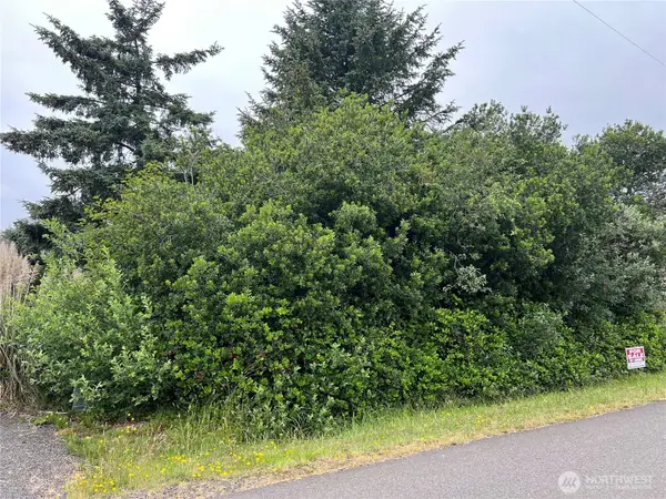 342 N Razor Clam Drive, Ocean Shores, WA 98569
