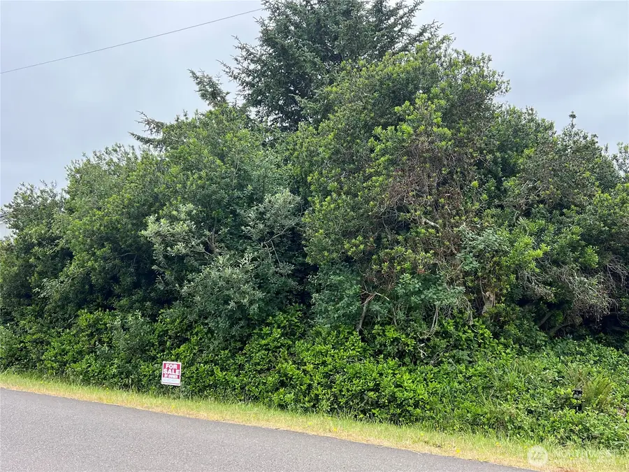 342 N Razor Clam Drive, Ocean Shores, WA 98569 - #3