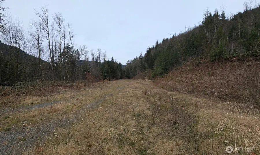 5664 State Route 508, Morton, WA 98356 - #3