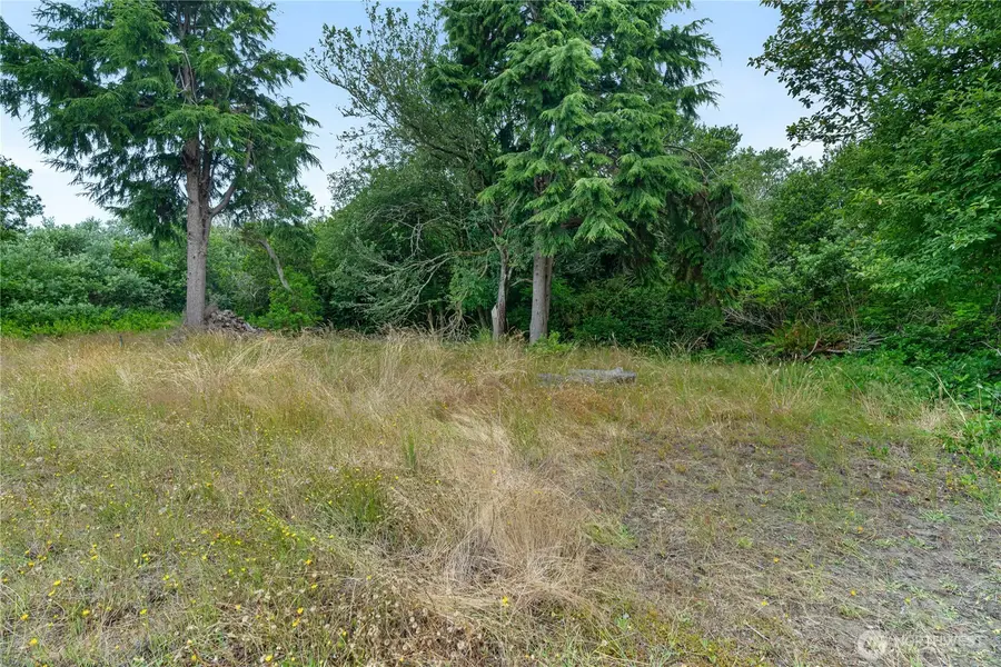 521 Point Brown Avenue Sw, Ocean Shores, WA 98569 - #2