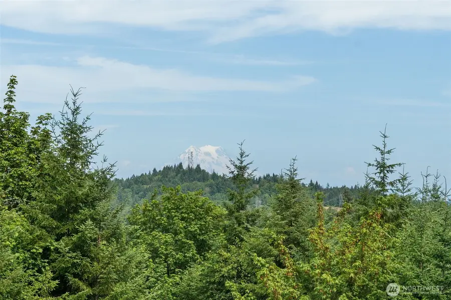 4737 Gold Ridge Lane Sw, Olympia, WA 98512 - #3