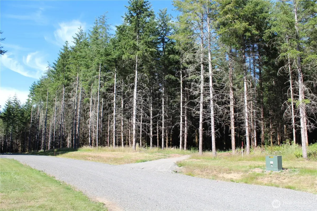 152 Vetter Lane, Onalaska, WA 98570 - #1