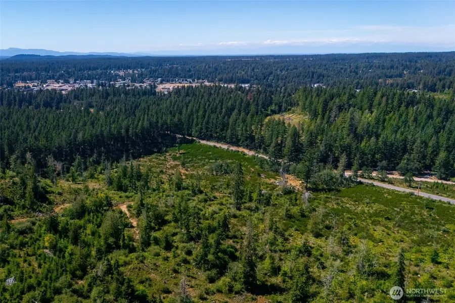 0 Algyer Road Se, Rainier, WA 98576 - #3
