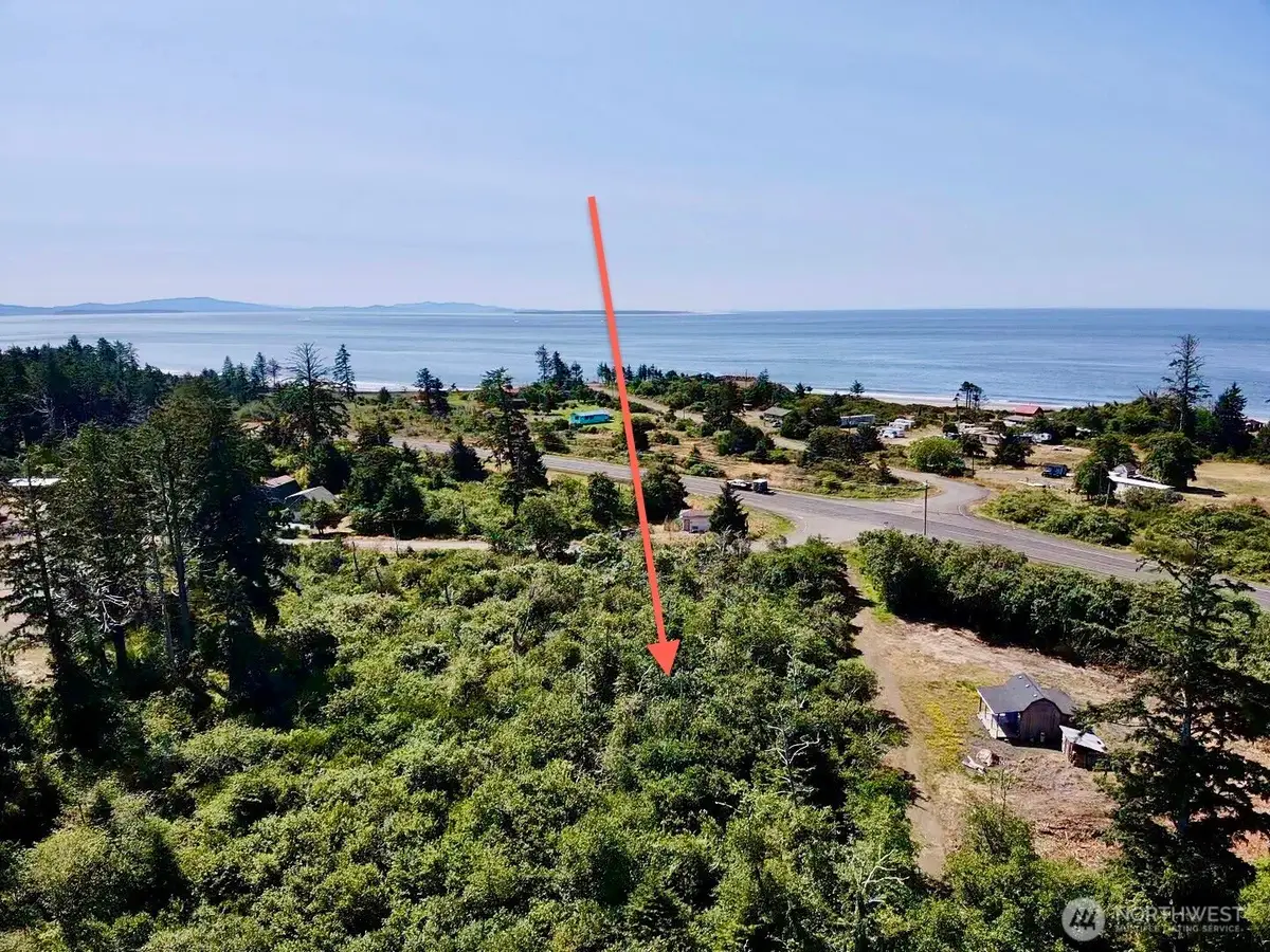 1 Larkin #Tract 50, Grayland, WA 98547 - #1