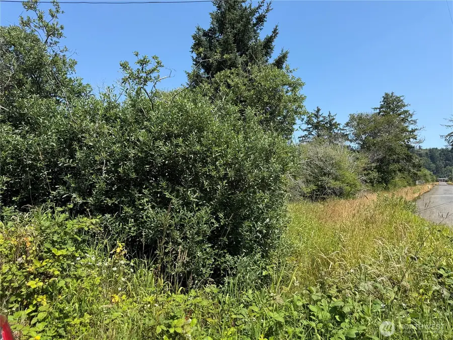 1 Larkin #Tract 50, Grayland, WA 98547 - #3