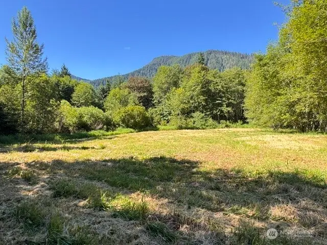 0 Pleasant Valley Rd, Morton, WA 98356 - #1