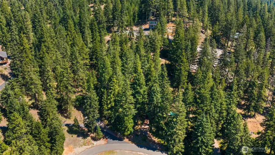 0 Lava Lane #14, Ronald, WA 98940 - #3