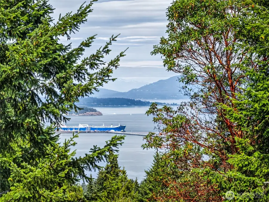11946 New Morning Drive, Anacortes, WA 98221 - #3