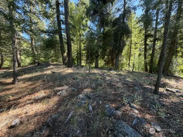 0 E Buttermilk Creek Road, Twisp, WA 98856 - #1
