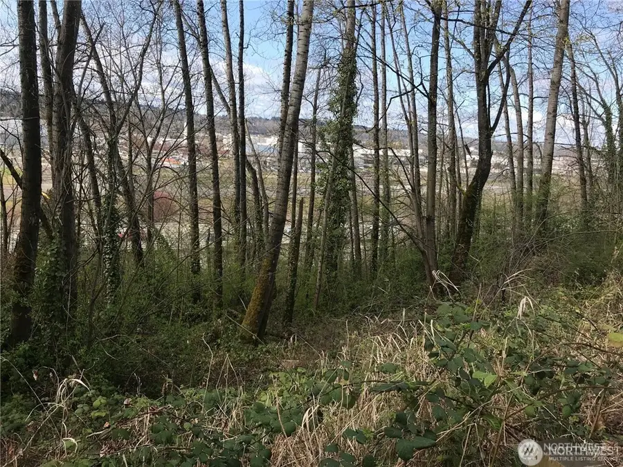 9419 Leroy Place S, Seattle, WA 98118 - #2