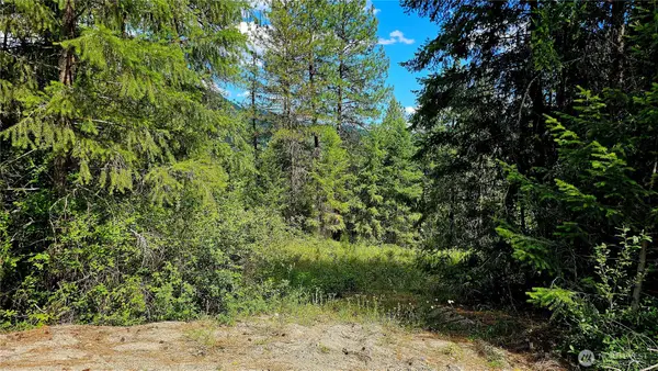 10 Humes Road, Kettle Falls, WA 99141