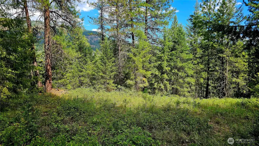 10 Humes Road, Kettle Falls, WA 99141 - #2