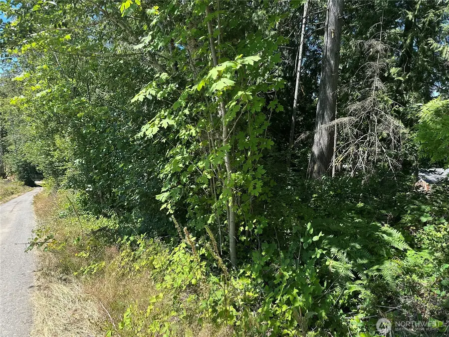 0 Hippie Hill Road, Belfair, WA 98528 - #2