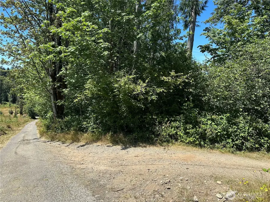 0 Hippie Hill Road, Belfair, WA 98528 - #3