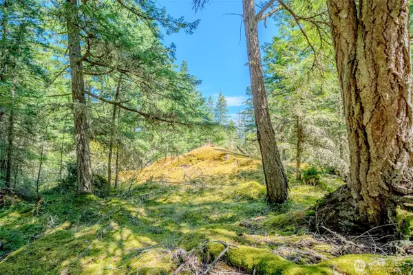 678 Swan Road, Orcas Island, WA 98245
