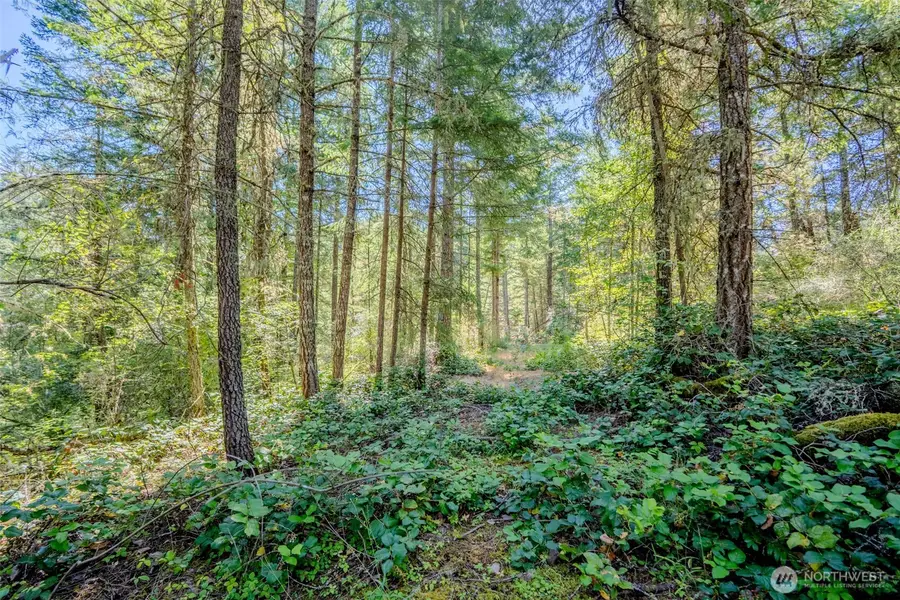 678 Swan Road, Eastsound, WA 98245 - #3