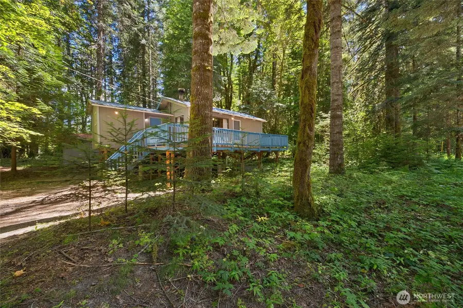 0 Elkhorn Drive, Packwood, WA 98361 - #2
