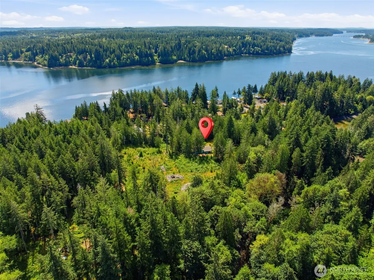 161 E Orchard Beach Road, Grapeview, WA 98546 - #1