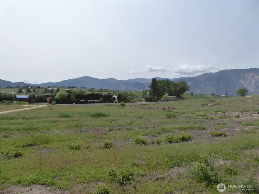 5 Roses View Lane #A, Manson, WA 98831 - #3