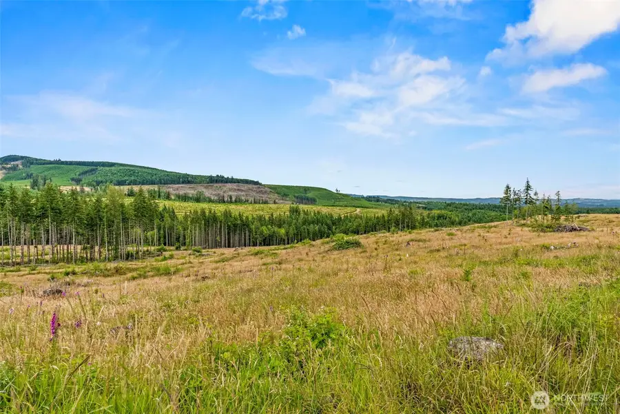 3 Parker Road #Lot C, Toutle, WA 98649 - #2