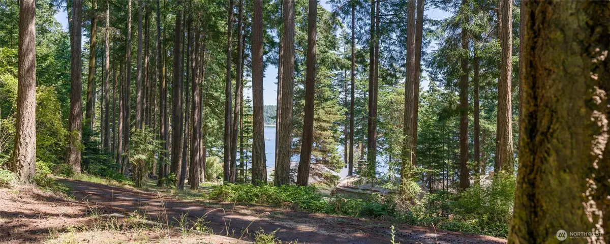 0 Captain Leison Lane, Lopez Island, WA 98261 - #1