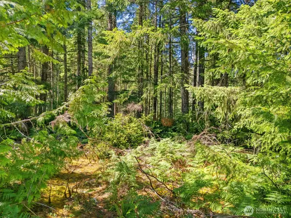 0 E Glenwood Drive #C of SP1357, Union, WA 98592