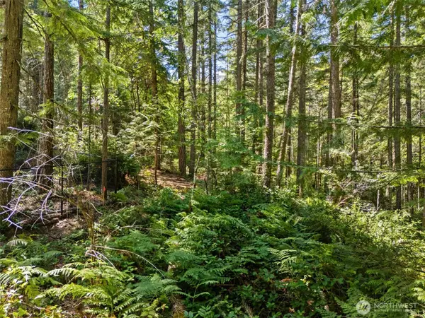 0 E Glenwood Drive #C of SP 1354, Union, WA 98592