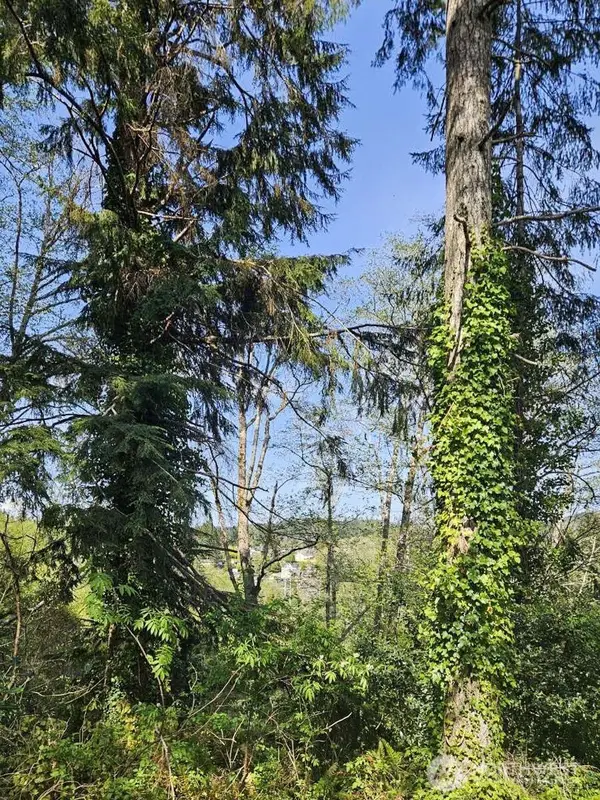 0 9th Avenue #27-29, Aberdeen, WA 98520