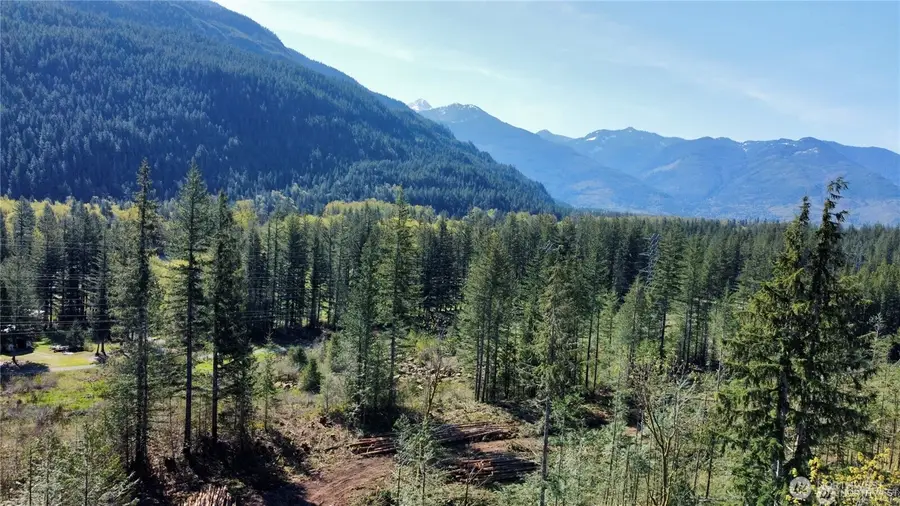 61120 Dexter Lane, Marblemount, WA 98267 - #2