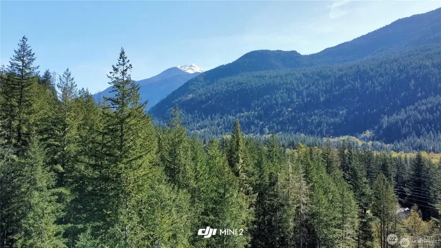 61120 Dexter Lane, Marblemount, WA 98267 - #3