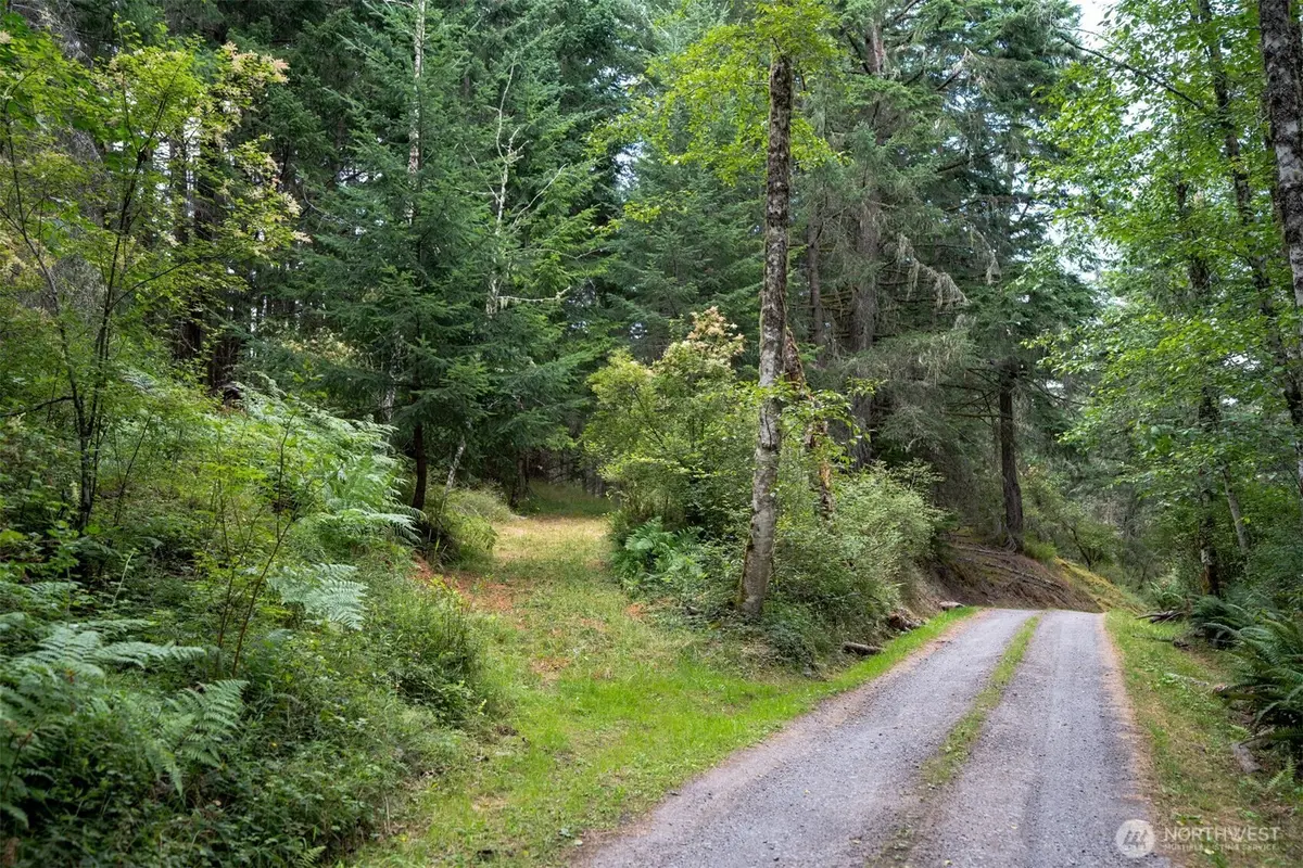 1087 Cady Mountain Road, San Juan Island, WA 98250 - #1