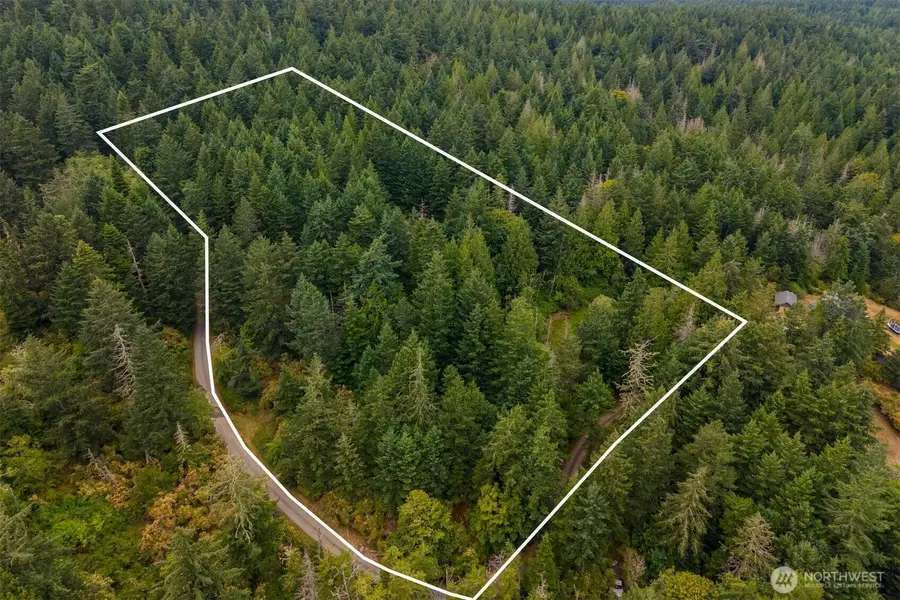1087 Cady Mountain Road, San Juan Island, WA 98250 - #2