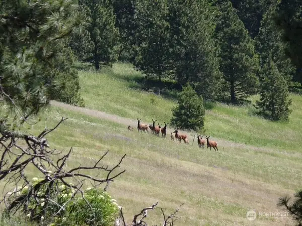 0 Bare Land, Waitsburg, WA 99361