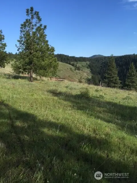 0 Bare Land, Waitsburg, WA 99361 - #3