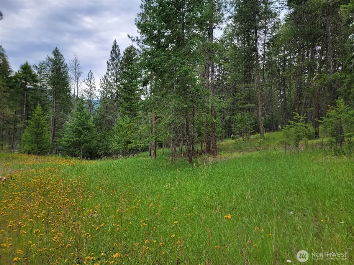 40 Evergreen Drive #LOTS 17 & 18, Curlew, WA 99118 - #1