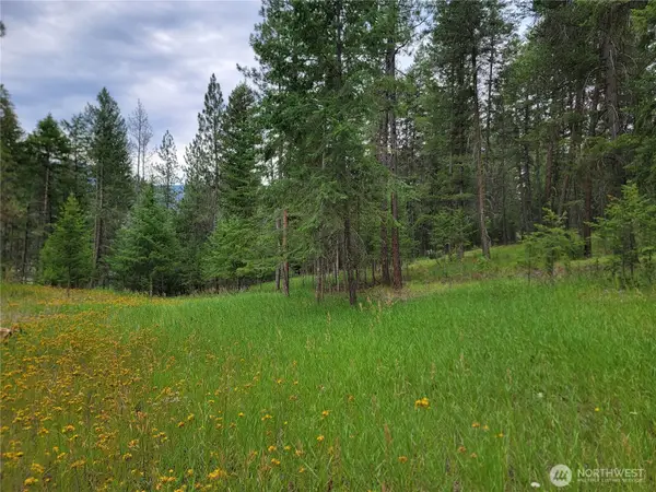 40 Evergreen Drive #LOTS 17 & 18, Curlew, WA 99118
