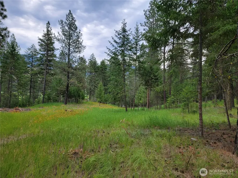 40 Evergreen Drive #LOTS 17 & 18, Curlew, WA 99118 - #2