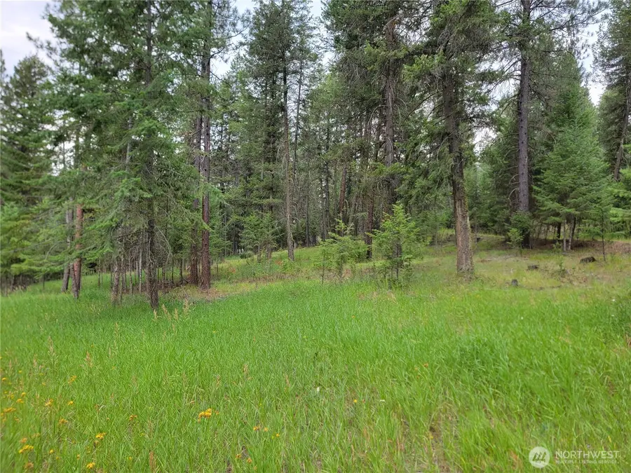 40 Evergreen Drive #LOTS 17 & 18, Curlew, WA 99118 - #3