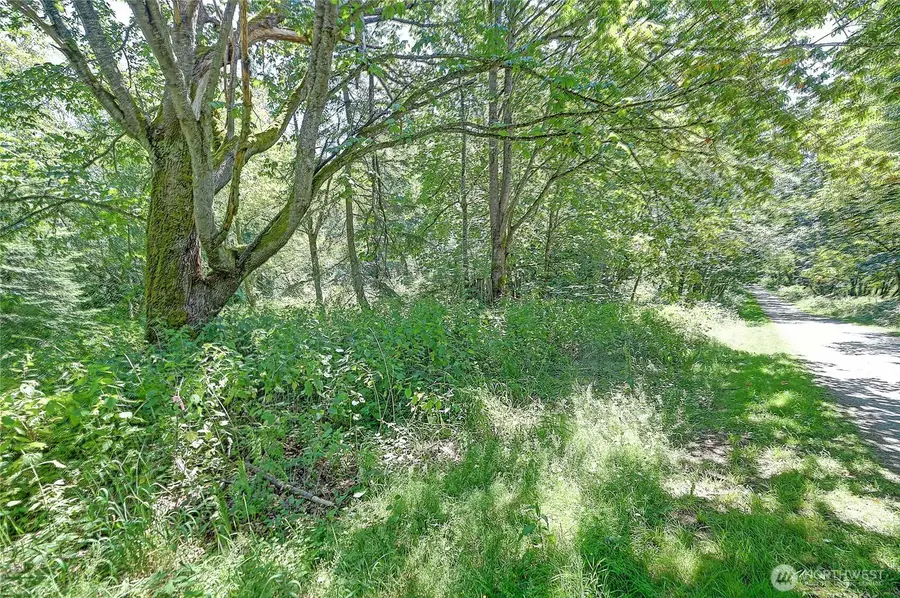 0 Eagle Ridge Drive, Camano Island, WA 98282 - #3