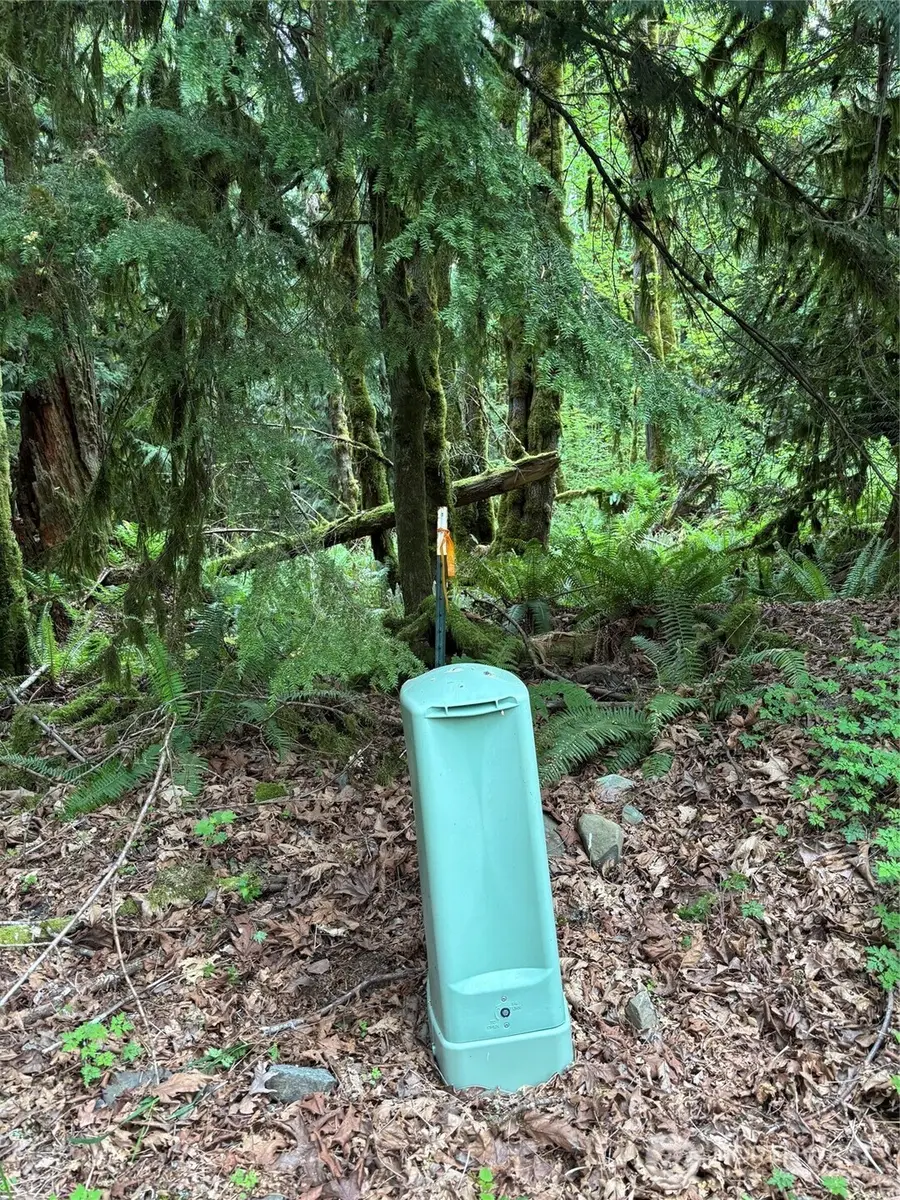 0 Upper Frost Creek Road #1, Maple Falls, WA 98266 - #2