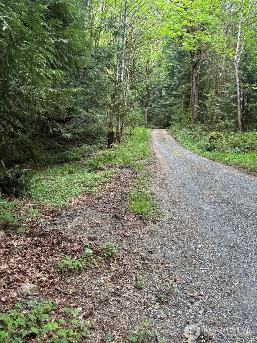 0 Upper Frost Creek Road #1, Maple Falls, WA 98266 - #3
