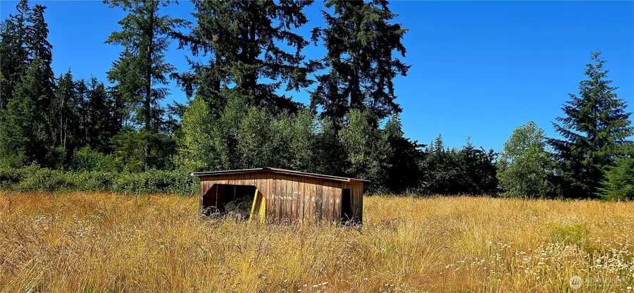 413 Manners Road, Rochester, WA 98579 - #2