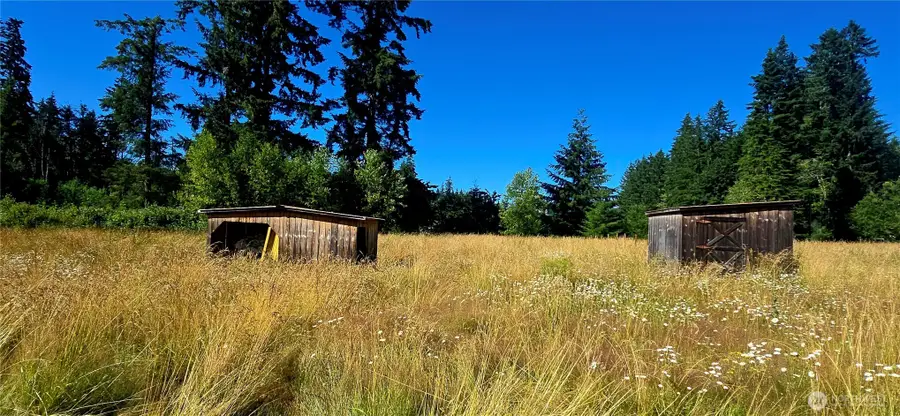 413 Manners Road, Rochester, WA 98579 - #3