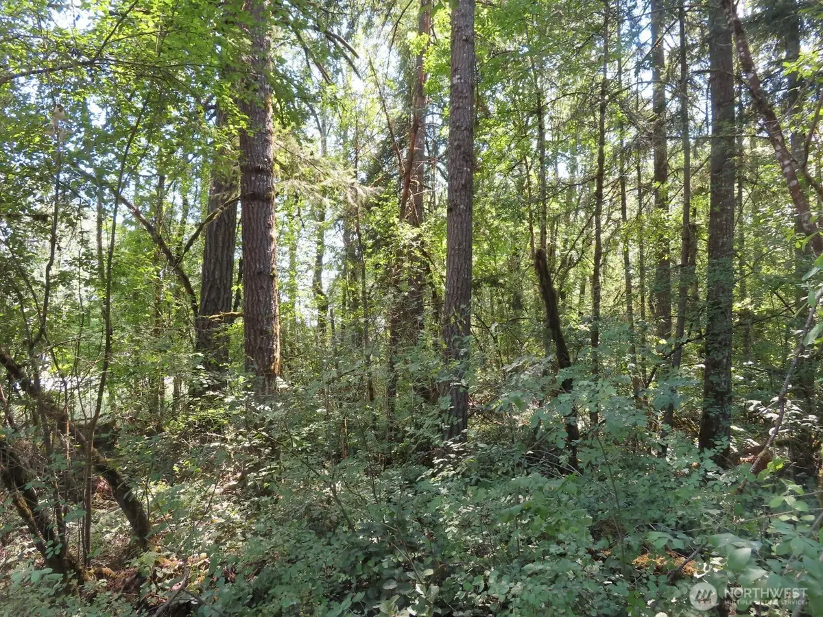 115 Campground Lane, Winlock, WA 98596 - #1
