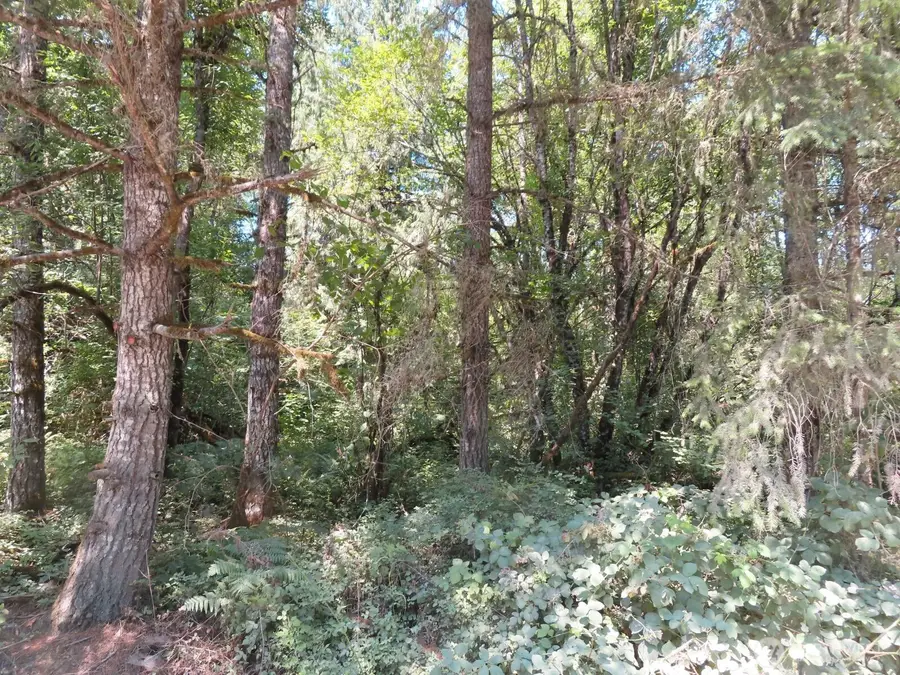 115 Campground Lane, Winlock, WA 98596 - #3