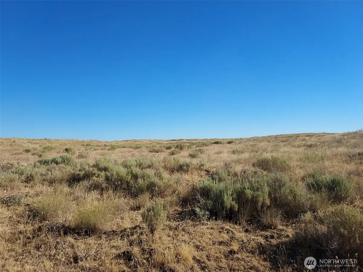 100 Seven Springs Dairy Road, Davenport, WA 99122 - #1