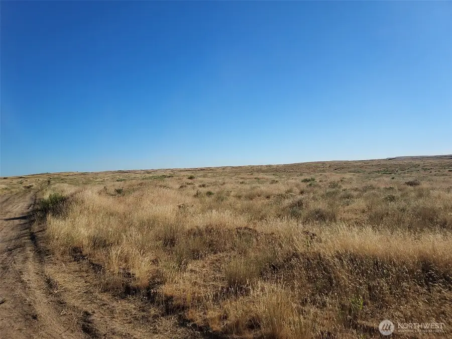 100 Seven Springs Dairy Road, Davenport, WA 99122 - #2